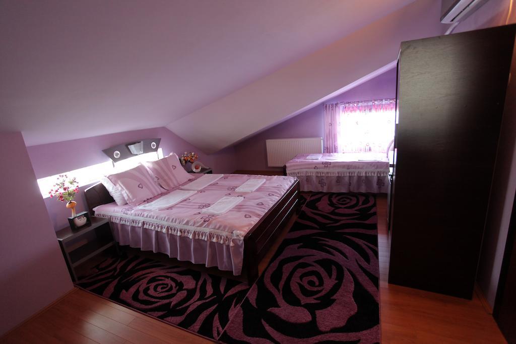 Villa Atina Stara Pazova Chambre photo